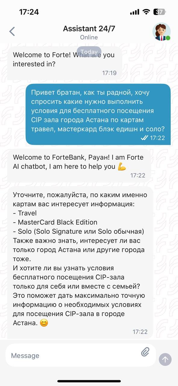 Chatbot screenshot